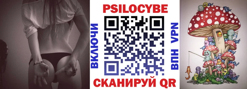магазин продажи   Реутов  кракен   Галлюциногенные грибы Psilocybe 